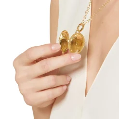 18K DRAGONFLY LOCKET