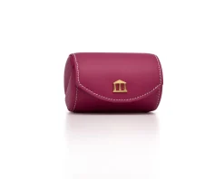 THE ON-THE-GO CASE