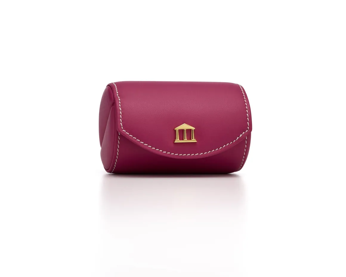 THE ON-THE-GO CASE